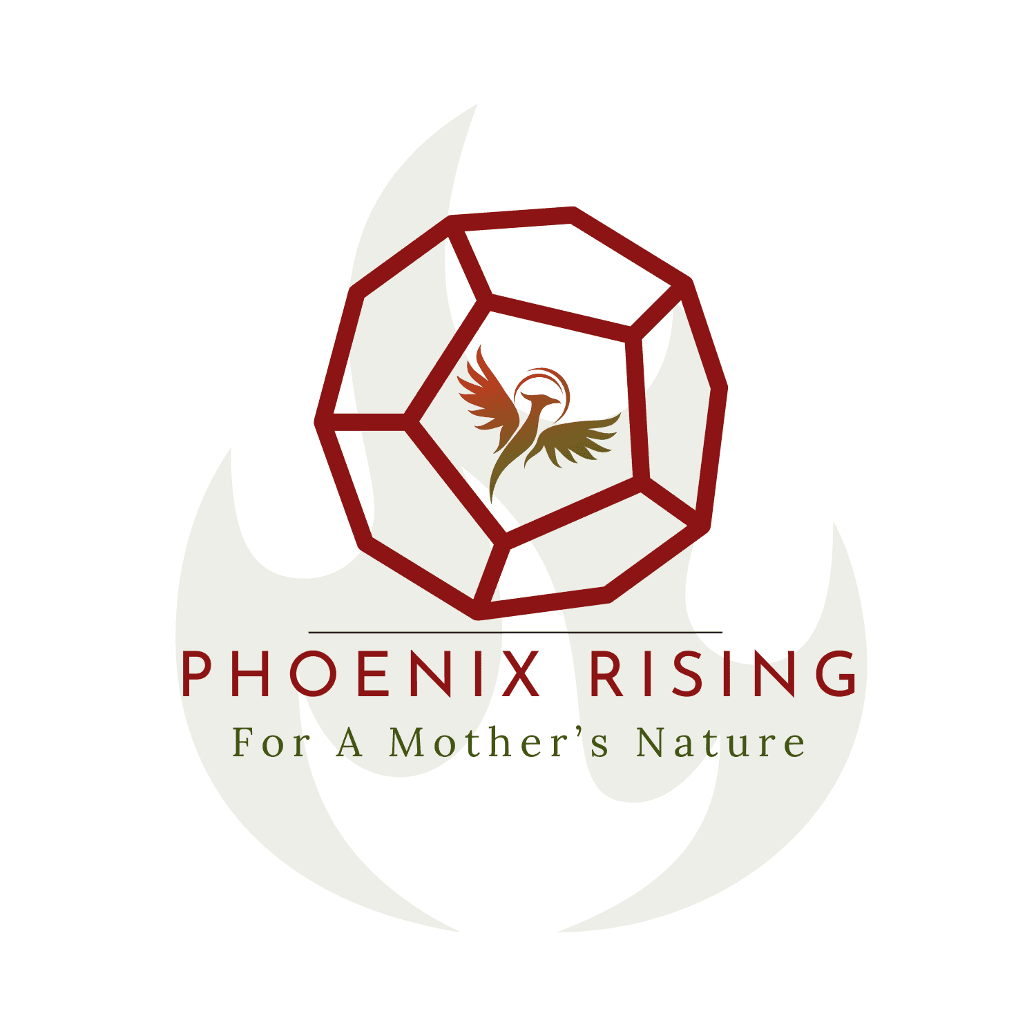 Phoenix Ascension Program (Non-Profit Organization)